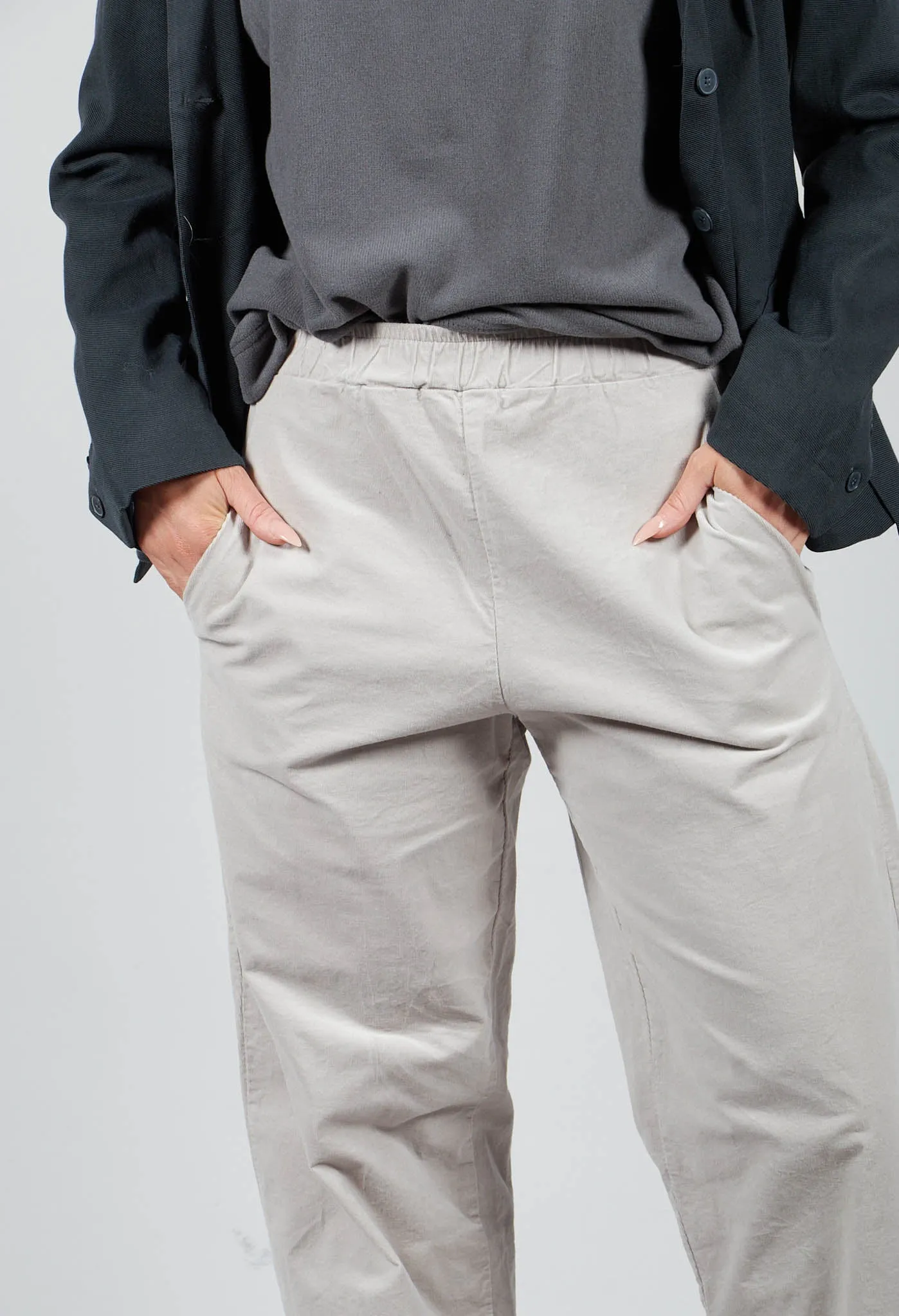 Cervo V Trousers in Pietra