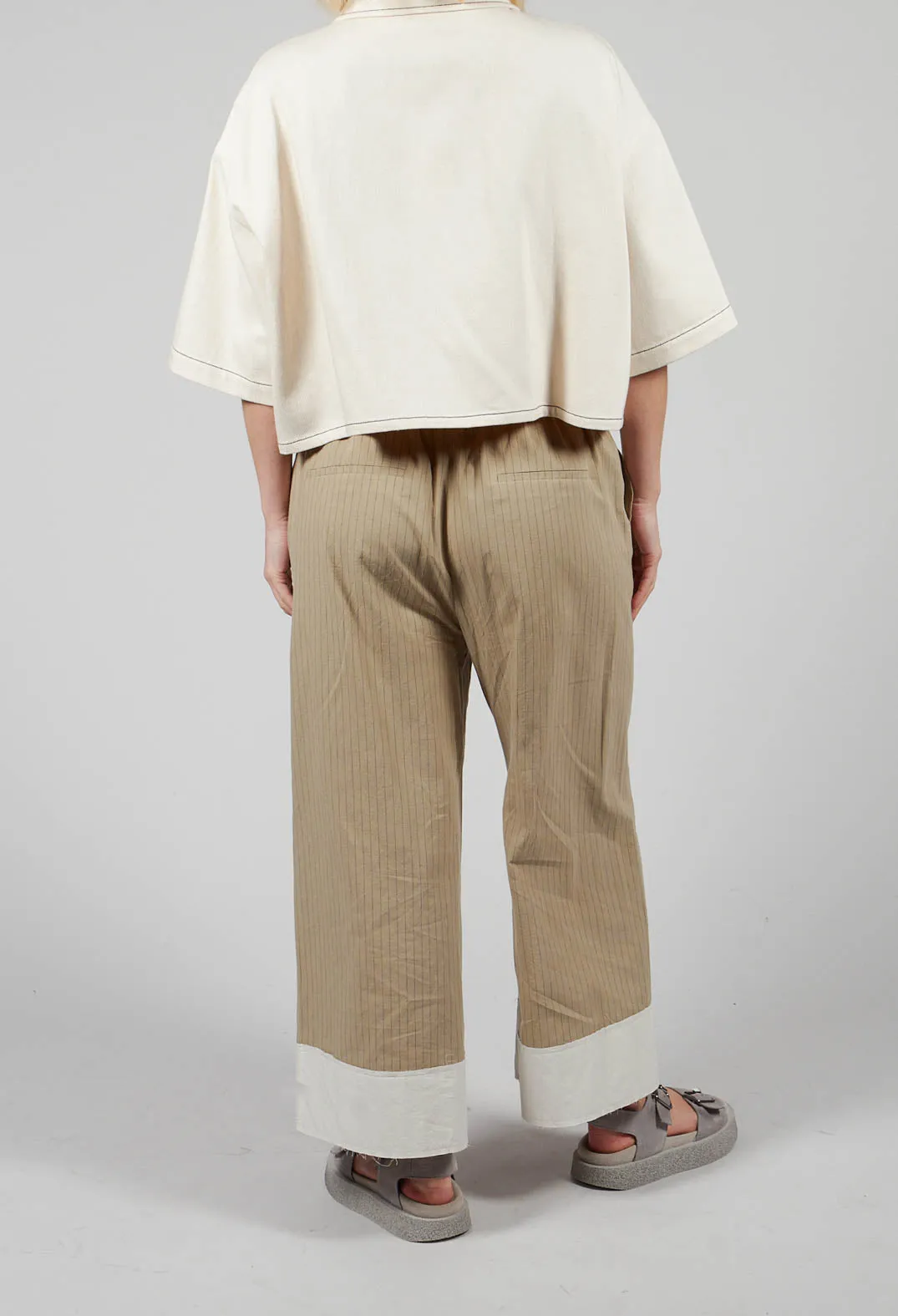 Pinstripe Trousers in Beige Stripe