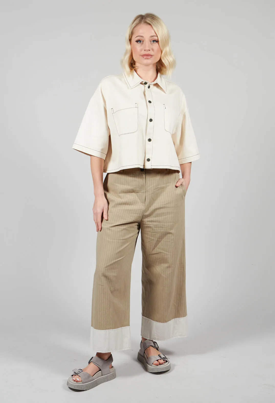 Pinstripe Trousers in Beige Stripe