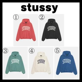 STUSSY  |Pullovers Unisex Street Style Long Sleeves Logo Skater Style