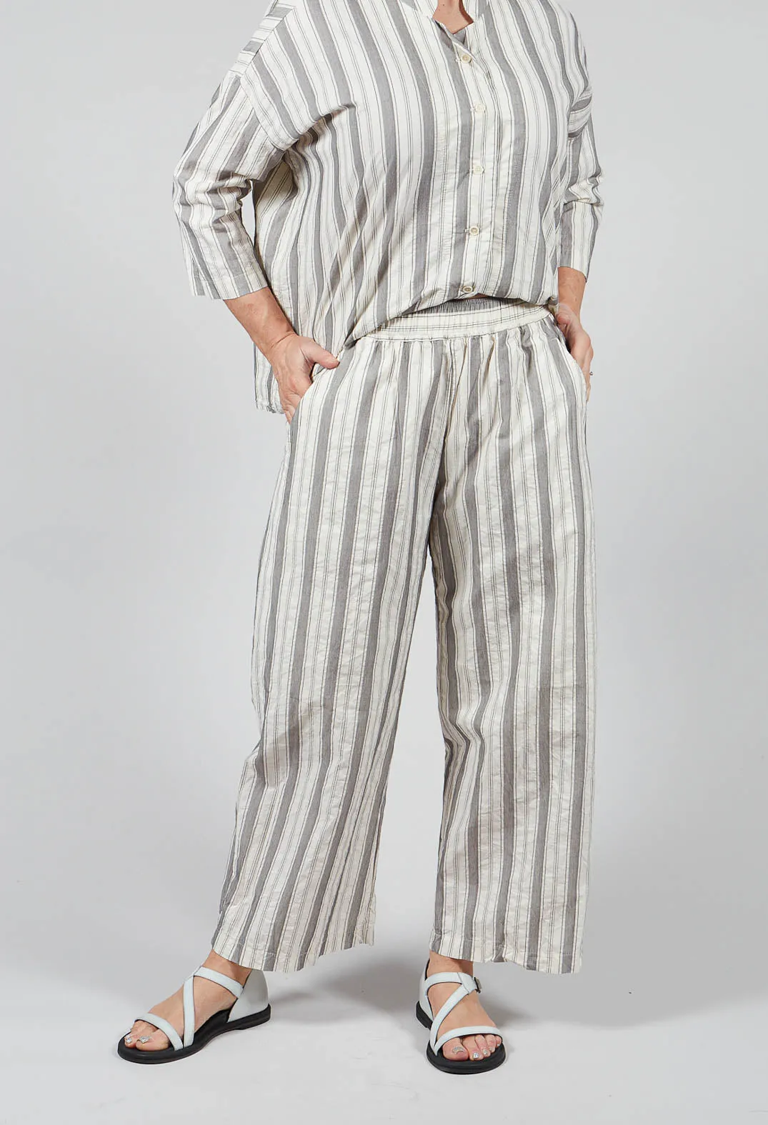 Wide Leg Trousers in Stripe