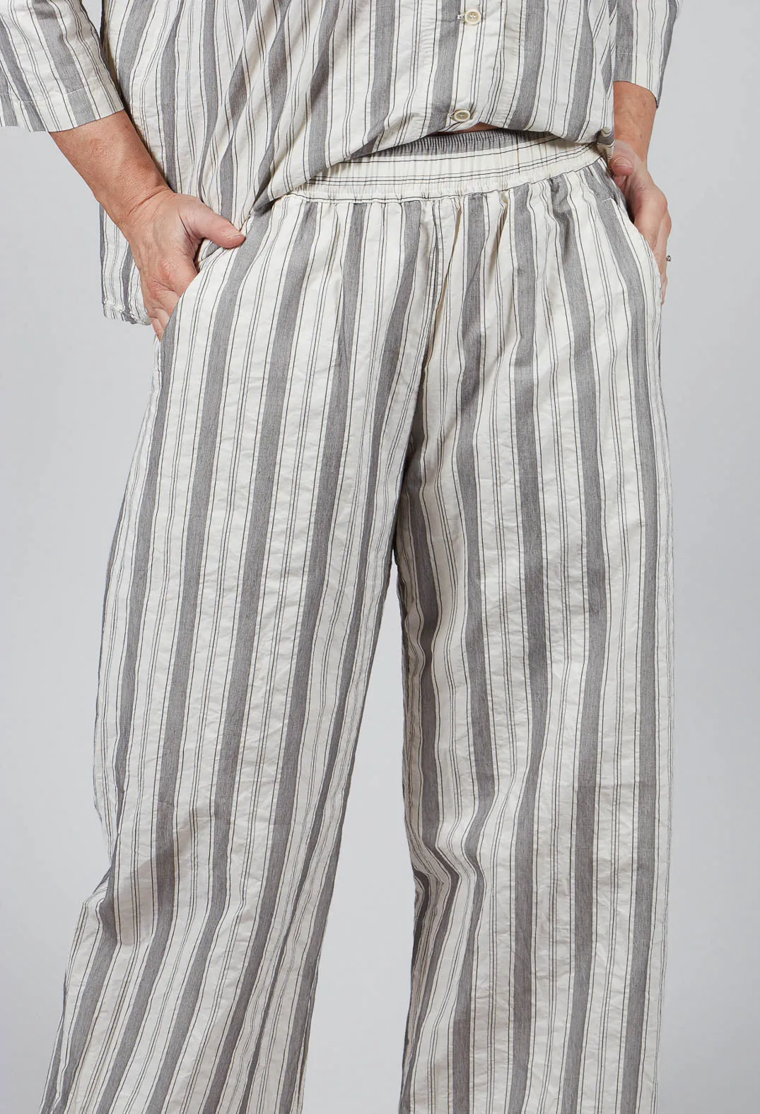 Wide Leg Trousers in Stripe